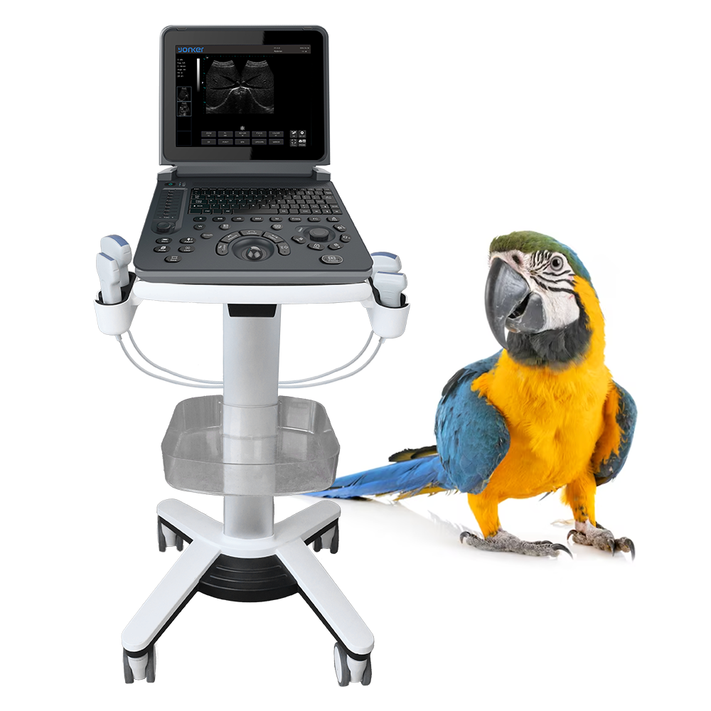 YK-V12 Black and white Veterinary Laptop Ultrasound