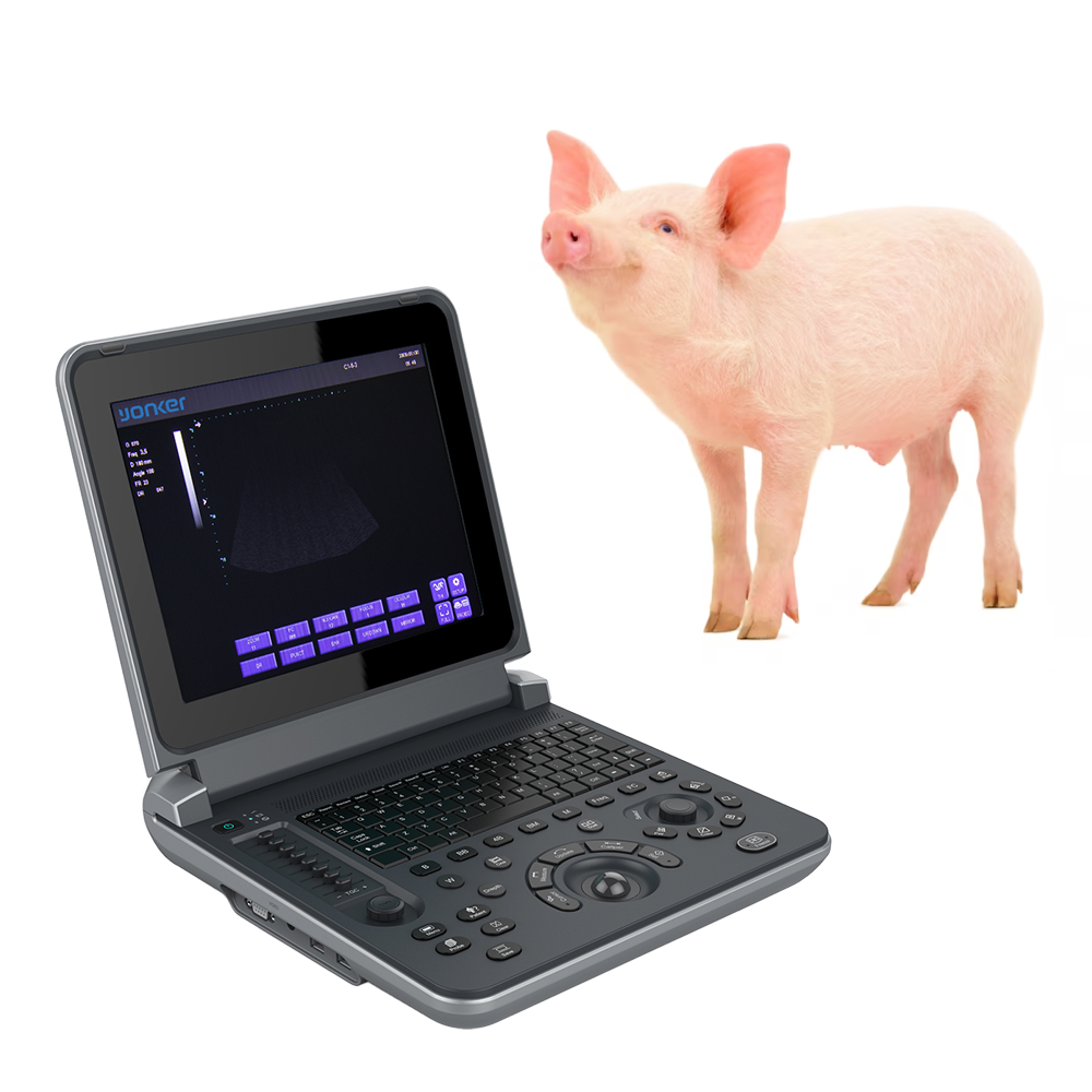 YK-V12 Black and white Veterinary Laptop Ultrasound