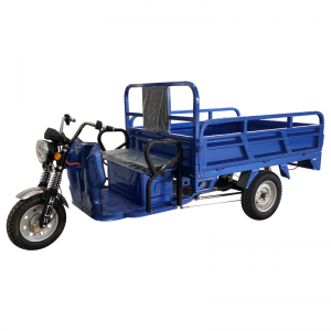 8 Year Exporter Small 3 Wheel Electric Scooter - Heavy Loading Electric Motorcycle Tricycle 2000kg – Join