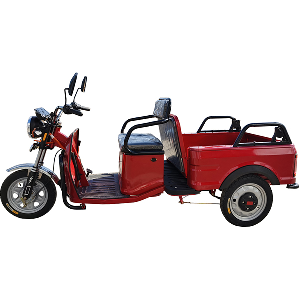 Electric triycle with folding seat for passener and cargo