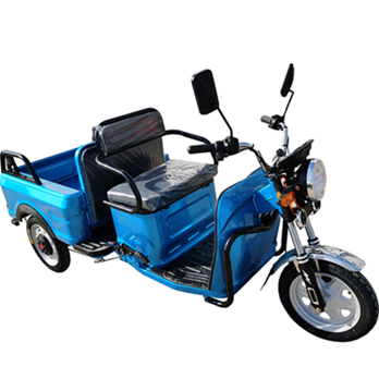 Electric triycle with folding seat for passener and cargo