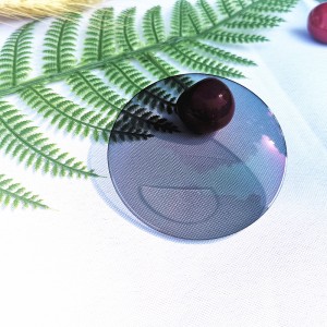 Photochromic Bifocal Lens
