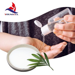 Free sample for Wall Putti Hpmc - High Quality HPMC Thickener For Detergents / Liquid Soap / Shampoo / Hand Sanitizer – Gaocheng