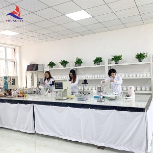 Cellulosic Thickening Agent YoungCel MHEC Gypsum Plaster Additive Manufacturer