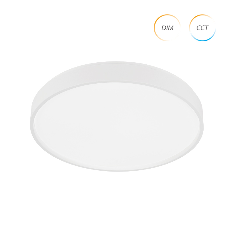 Color changeable LED Ceiling lamp (2)