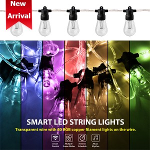 Factory wholesale String Smart Christmas Tree Decoration LED StringLight