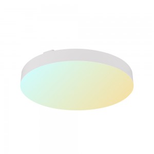 Smart-CE2247 China Factory Manufacturer of Easy Installation Smart Ceiling Light Fixture – Yourlite