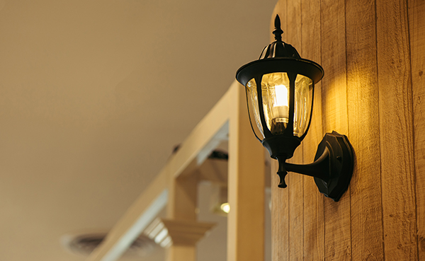 Need lights for your garden? Recommend security smart outdoor lighting for you