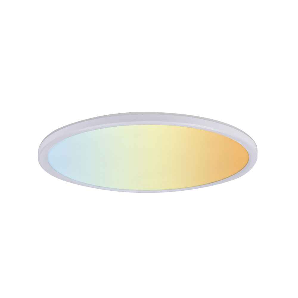 ST-CE2176 China Factory Supplier of Multiple Scenes Ultra Thin LED Smart Ceiling Light – Yourlite