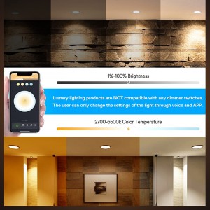 Voice & App Control WIFI LED Down Light CCT