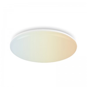 Thick and Solid Design Intelligent Ceiling Lights