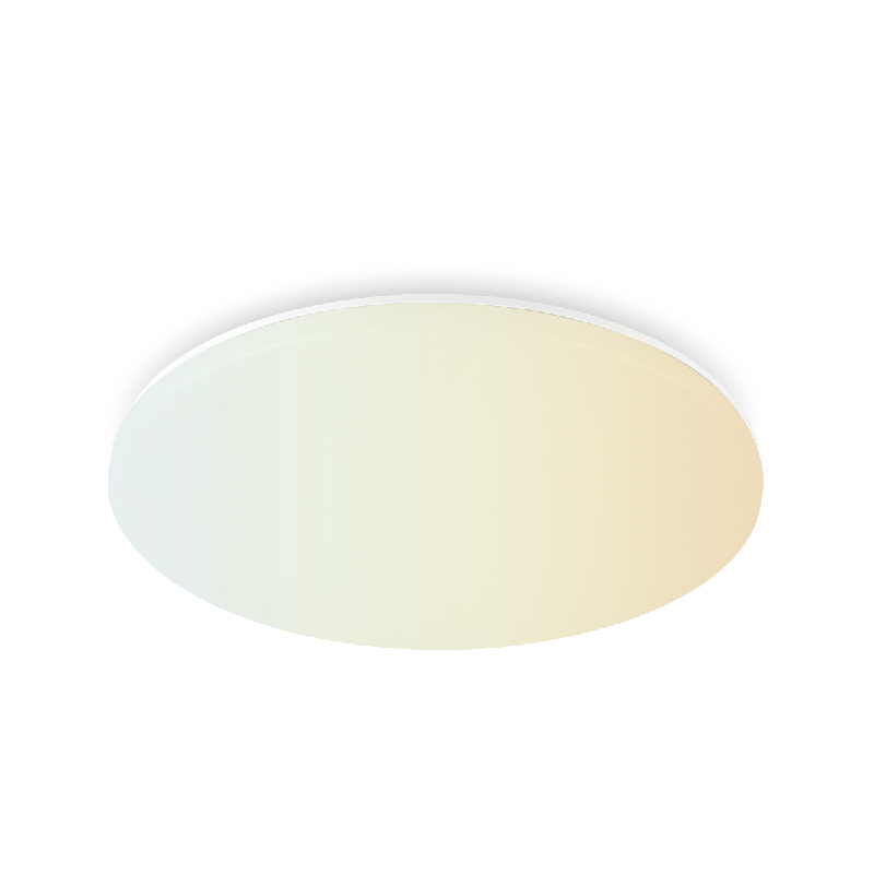 2021 Good Quality Smart Panel Light - Waterproof and Impact Resistance Smart Ceiling Lamps – Yourlite