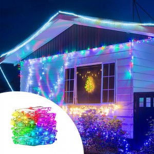 LD3003 Top Quality Worry-free Control Smart RGB LED String Light Manufacturer – Yourlite