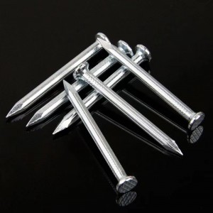 Galvanized steel concrete nails with factory price