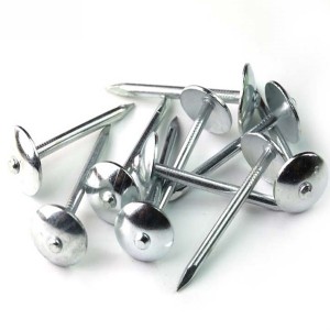 Cheap PriceList for Stainless Steel Ring Shank Roofing Nails - Umbrella  head roofing nail ̵...