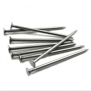 China New Product China Brightly Polished Common Wire Nail 25kgs Bulk Pack