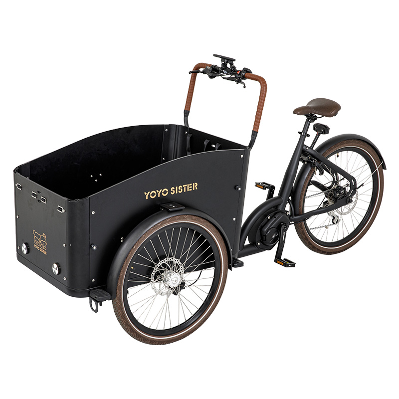 New 48V500W 3 Wheel Electric Cargo Bike