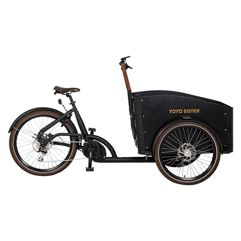 New 48V500W 3 Wheel Electric Cargo Bike