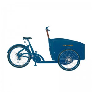 Bike Electric Cargo Bike Electric Bikes for Sal...