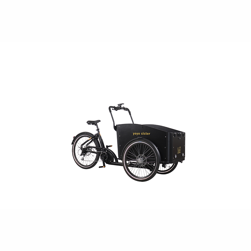 Hot Sell 24inch Three Wheel Cargo Tricycle Ebike Featured Image