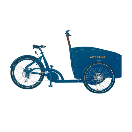 – YOYO SISTER New 48V500W 3 Wheel Electric Cargo Bike  – YOYO SISTER