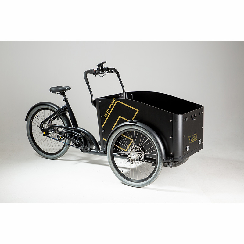 Hot Sell 24inch Three Wheel Cargo Tricycle Ebike