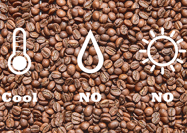 هل يهم إذا كان هناك صمام هواء أحادي الاتجاه في كيس القهوة؟