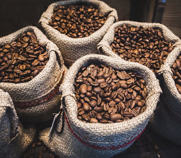 Prakiraan pertumbuhan biji kopi dening organisasi resmi internasional.