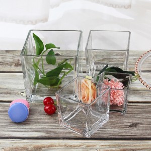 2023 new different types glass vase different size crystal cube plant vases clear square glass vase