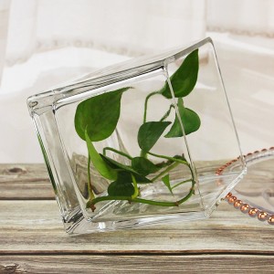 2023 new different types glass vase different size crystal cube plant vases clear square glass vase