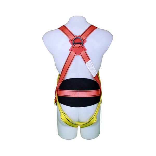 D Ring Retractable Lanyard En361 Full Body Safety Harness with Rope - China  Safety Harness, Full Body Safety Harness