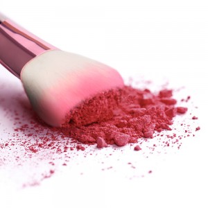 China factory of 22pcs pink makeup brushes set