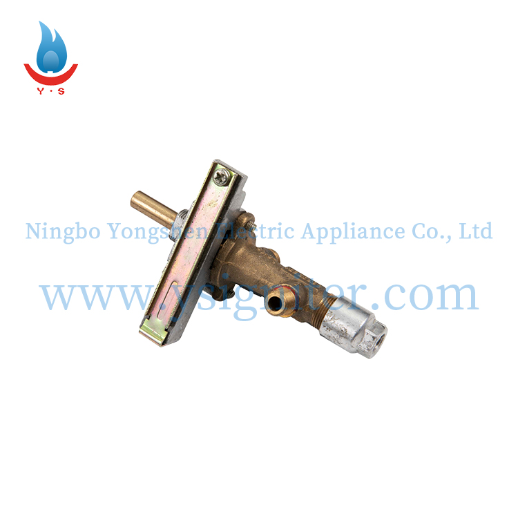 Hot Sale for Ignitor Is - Fuel Gas Valve BQ902C01 – Yongshen