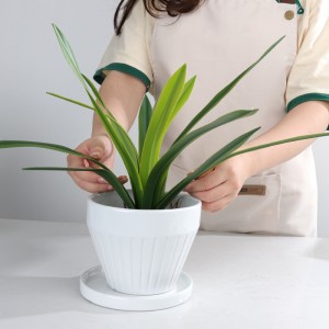 Manufacturer ODM Indoor Table Wide-mouth Design Ceramic Wide-Mouth Striped Planter with Tray