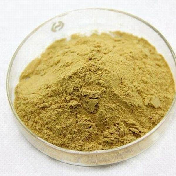 China Wholesale Phosphoric Acid For Fertigation Factory –  Echinacea Extract – Inchee