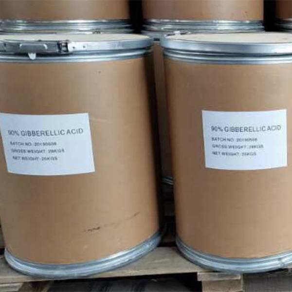 China Wholesale Phosphoric Acid China Pricelist –  Gibberrilic Acid (GA99%) – Inchee