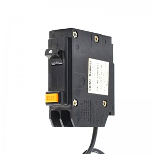 Hot sale Factory China Conventional Circuit Breaker RCBO 80A