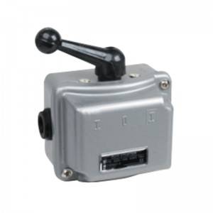 New Arrival China 24 Hour Timer Relay - Cam starters manufacturer QS5 22.5KW 500V three phase cam starter – Hawai
