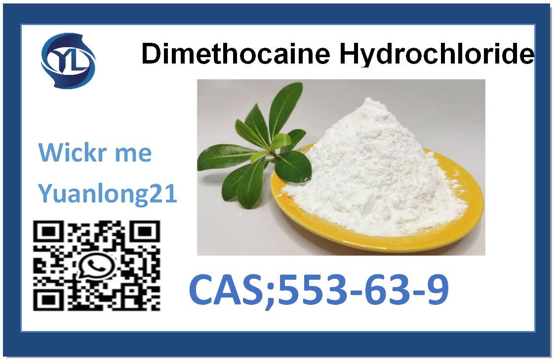 Dimethocaine Hydrochloride  553-63-9