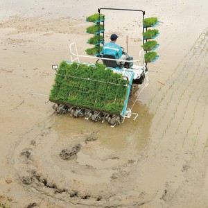 Agricultural Ride On Type 6 Rows Walking Paddy Rice Transplanter With Large Diameter Wheel