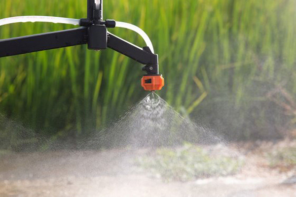 How to choose the right nozzle for spraying pesticides?