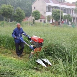 Mini combine price of rice harvester sugar cane combine