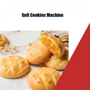 2022 Yucheng Double Hopper Automatic Cookie machine