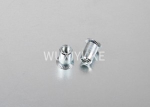 Rivet Nut With Countersunk Head And Knurled Shank