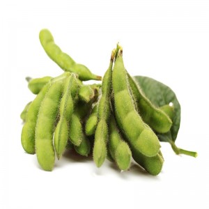 Frozen Edamame Beans in Pods Seeds Ready to Eat Soy Beans