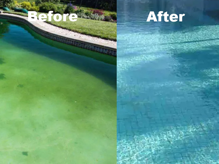 How to deal with algae in swimming pool in summer？