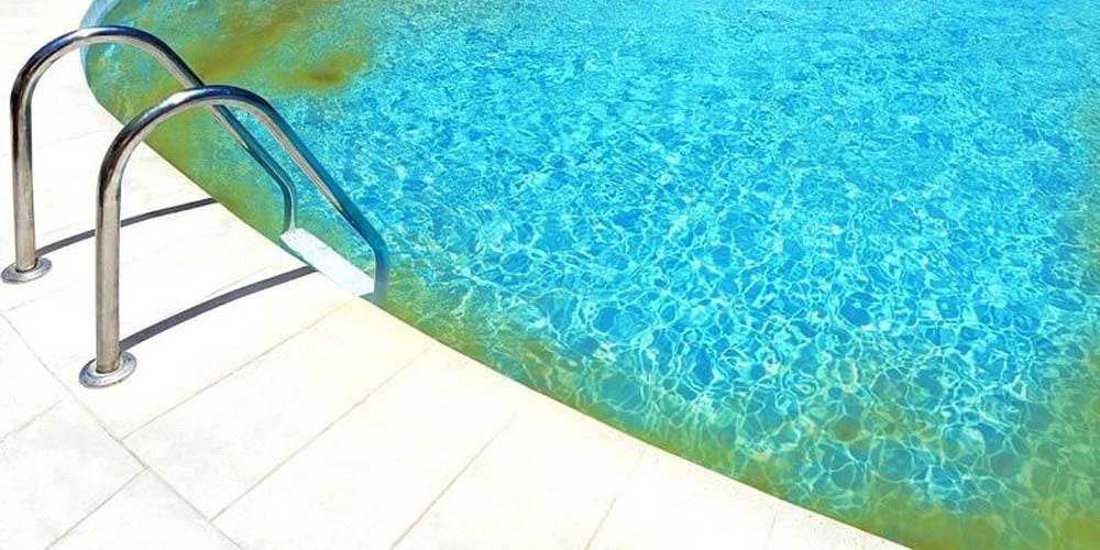 Do I need Algaecide in my pool?