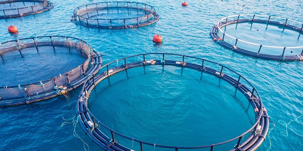What is the role of Polyaluminum Chloride in aquaculture?