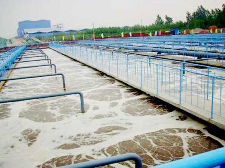 Flokkulering og sedimentering av flokkuleringsmidler for vannbehandling i avløpsvannbehandling