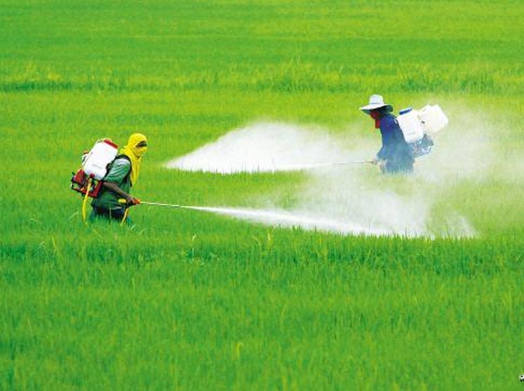 Como usar o Desinfetante Tricloreto na agricultura